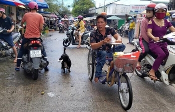 hanoi consumed less dog and cat meat but still rampant