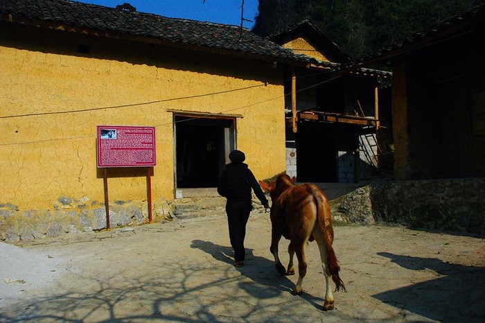 Pao's house, a cultural and architectural attraction in Ha Giang province paos house a cultural and architectural attraction in ha giang province