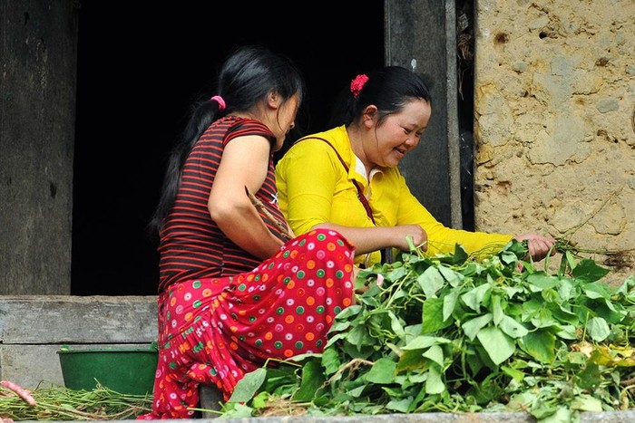 Pao's house, a cultural and architectural attraction in Ha Giang province paos house a cultural and architectural attraction in ha giang province