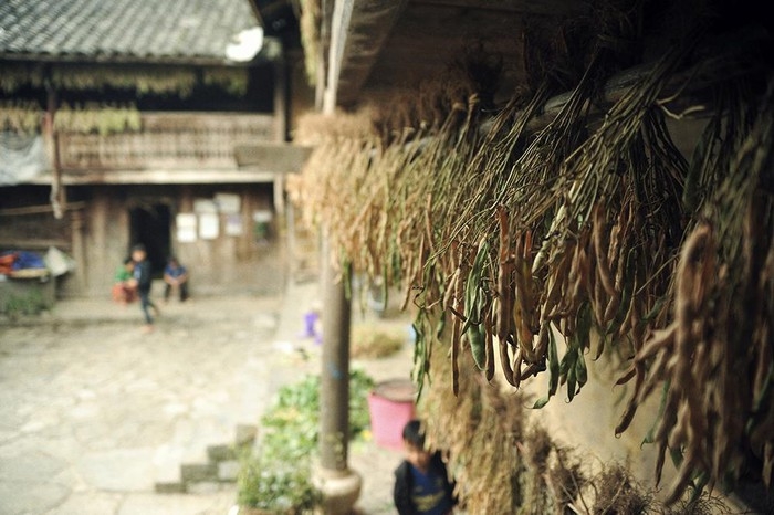 Pao's house, a cultural and architectural attraction in Ha Giang province paos house a cultural and architectural attraction in ha giang province