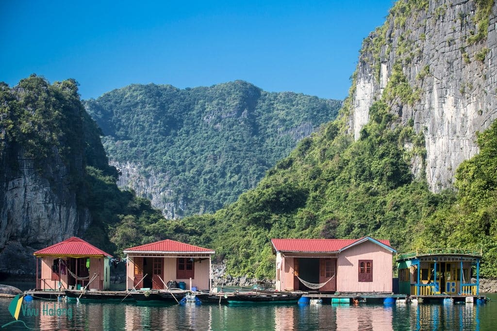 Vietnam's Bai Tu Long Bay under the camera of foreigner vietnams bai tu long bay under the camera of foreigner