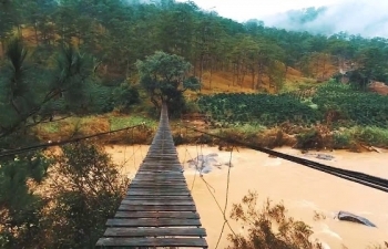 la ba bridge suspension bridge not for the faint hearted
