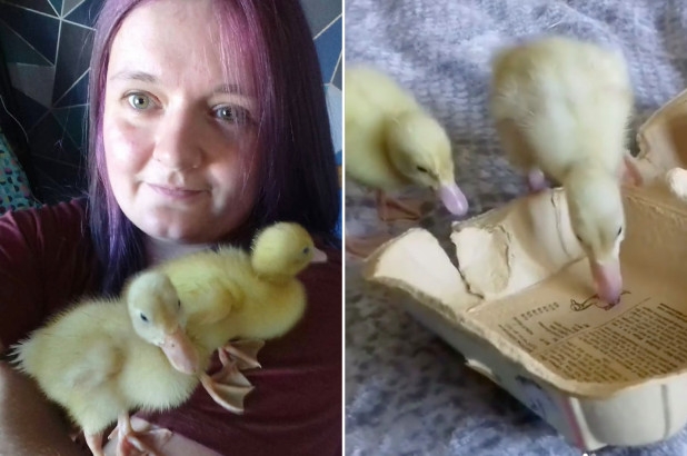 undefined Charli Lello and her ducklings