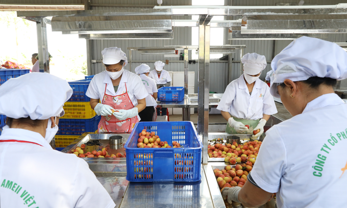 US businesses prioritize Vietnamese supply sources US businesses prioritize Vietnamese supply sources
