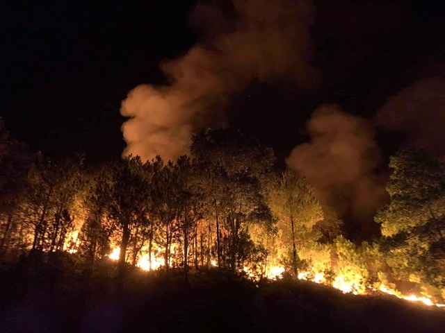 The area where fires broke is home to many old pine trees of decades of age, with complex terrains, thick vegetation layers that are vulnerable to fire