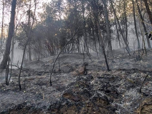 During this time, functional forces repeatedly controlled the fire. However, due to the hot weather, the fire broke out again many times in small spots.
