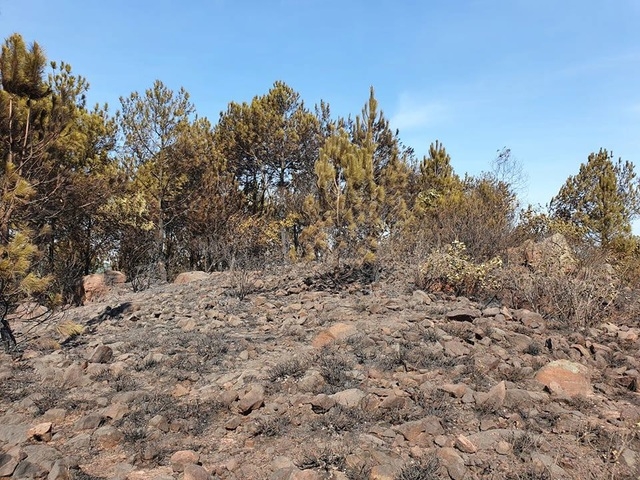 Many households living at the foot of the forest have to evacuate 
