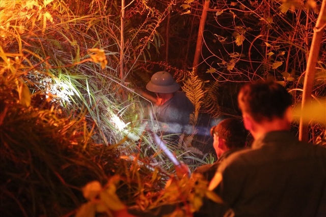 Over 400 people were deployed to prevent the fire from spanning out in the middle of the night