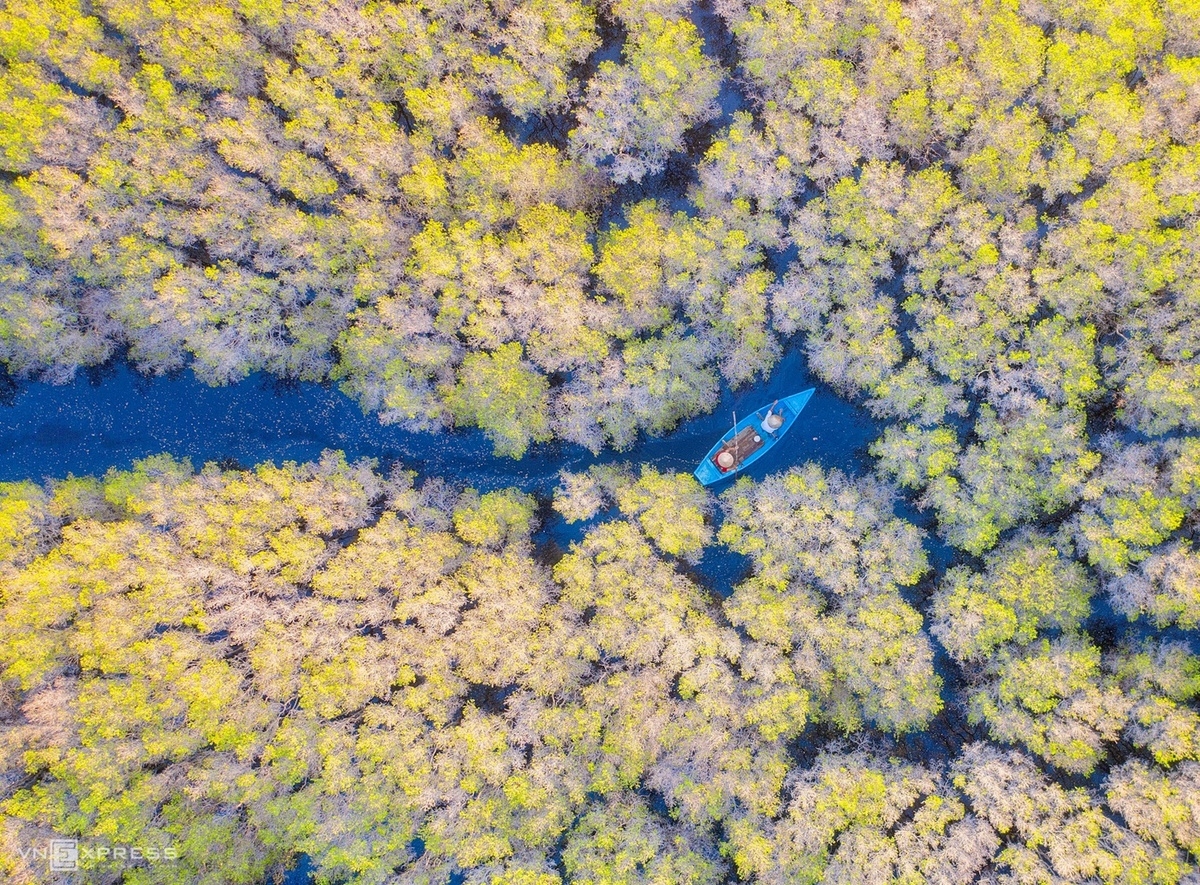 Picturesque photos of Vietnam's Southern villages Ca Cai Bau Mangrove Forest