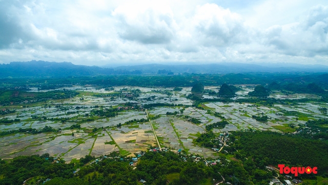 Vietnam Top Destination: Moc Chau rice paddy fields glitters in watery season