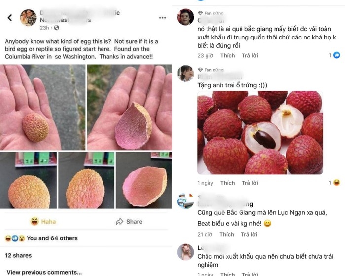 undefined Many Vietnamese people comment on the post