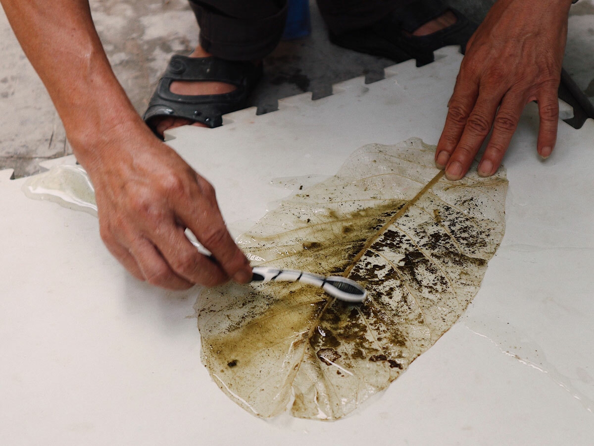 Craftsman who turns almond leaves into unique transparent conical hats craftman who turns almond leaves into transparent conical hats