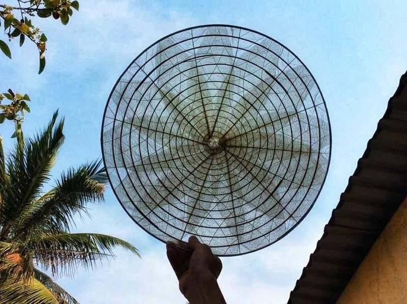 Craftsman who turns almond leaves into unique transparent conical hats One hat needs around 12-15 almond leaves