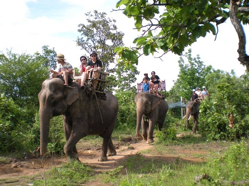 Top Vietnam Destinations: Glamorous Pleiku in the eyes of avid travel loner Elephant riding at yok don national park