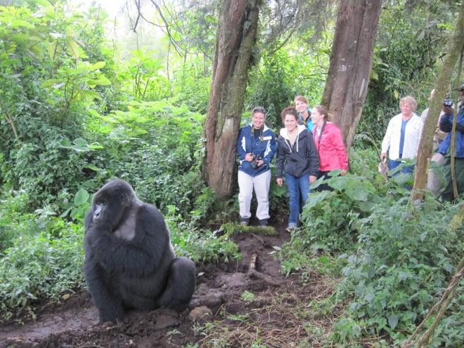 Top 7 ‘bucket list’ travel experience in Africa Top 7 ‘bucket list’ travel experience in Africa
