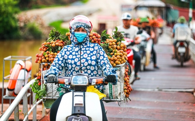 Vietnamese exporters turn to domestic market amid Covid-19 pandemic Vietnamese exporters turn to domestic market amid Covid-19 pandemic
