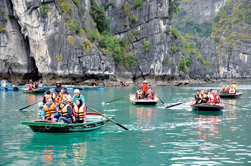 Vietnam witnesses sharp int'l arrivals drop in first seven months Foreigners sailing boats in ha long bay, northern vietnam