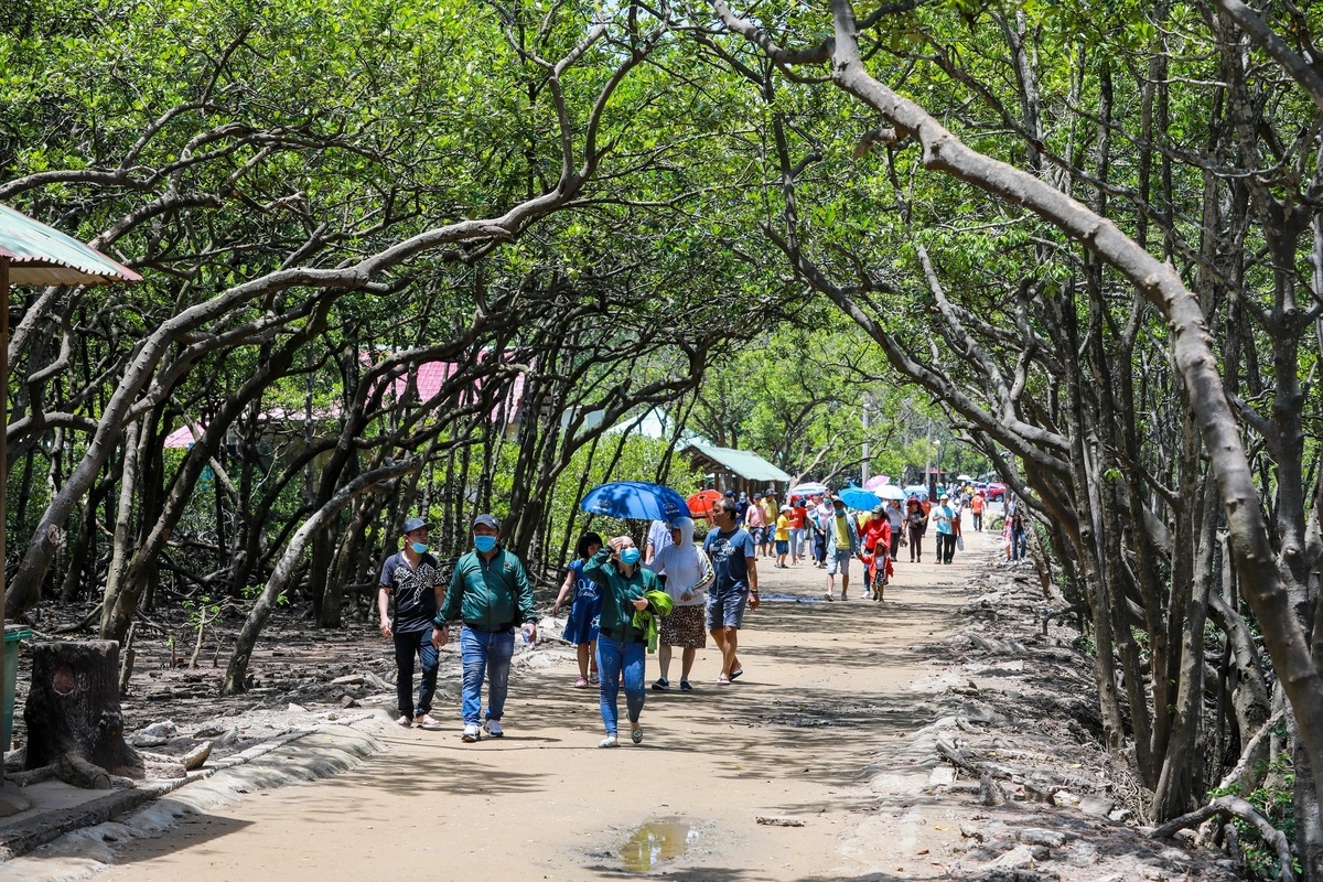Tourist destination flocked with thousands of monkeys Tourist destination flocked with thousands of monkeys