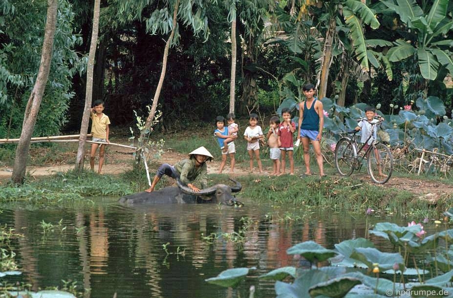 Memorable photos of daily life in Quang Nam in early 1990s Memorable photos of daily life in Quang Nam early 1990s