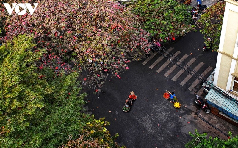 Street vendors, an enduring cultural beauty of Hanoi Street vendors, an enduring cultural beauty of Hanoi
