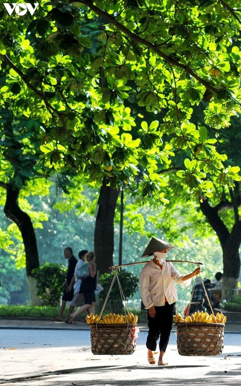 Street vendors, an enduring cultural beauty of Hanoi Street vendors, an enduring cultural beauty of Hanoi
