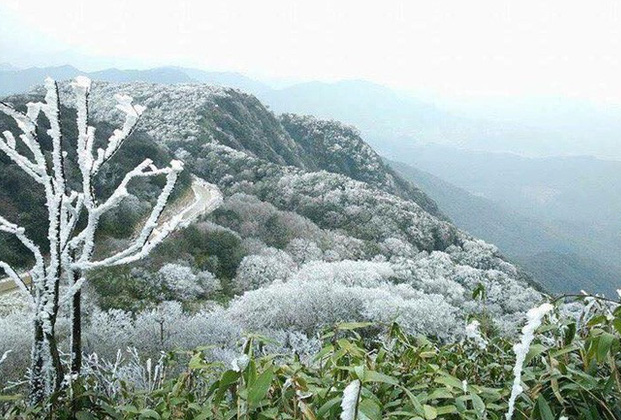 Cao Bang Province, the Only Coronavirus-free Place in Vietnam Cao Bang Province, the Only Coronavirus-free Place in Vietnam