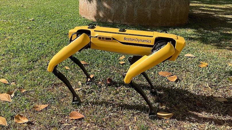 Dog-like Robot Sparks Debate in the US Dog-like Robot Sparks Debate in the US