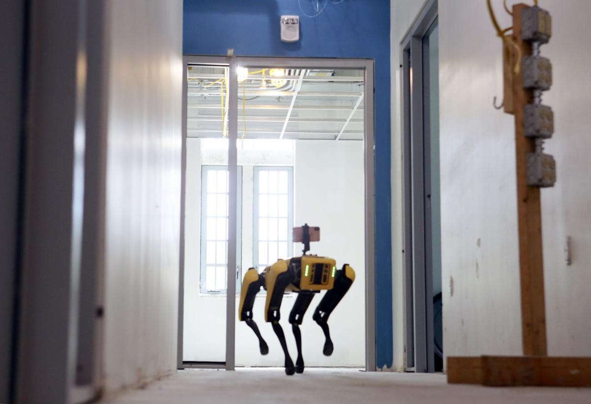 Dog-like Robot Sparks Debate in the US Dog-like Robot Sparks Debate in the US