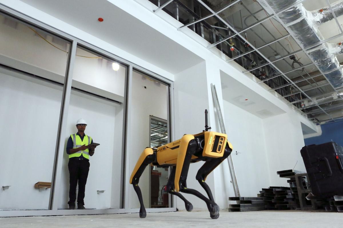 Dog-like Robot Sparks Debate in the US Dog-like Robot Sparks Debate in the US