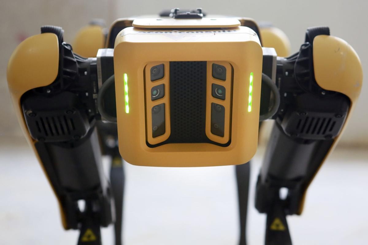 Dog-like Robot Sparks Debate in the US Dog-like Robot Sparks Debate in the US