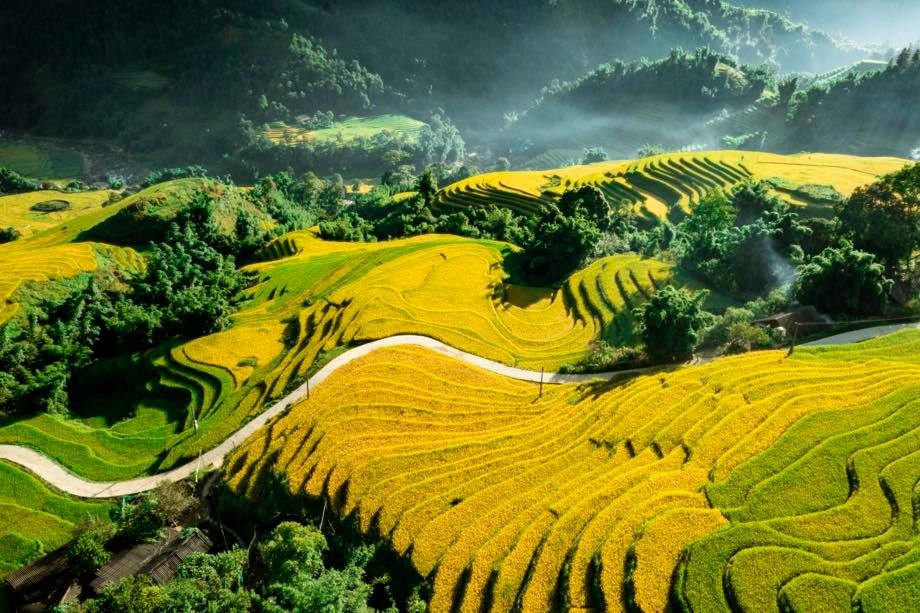 A Quiet Sapa in Ripening Rice Season A Quiet Sapa in Ripening Rice Season