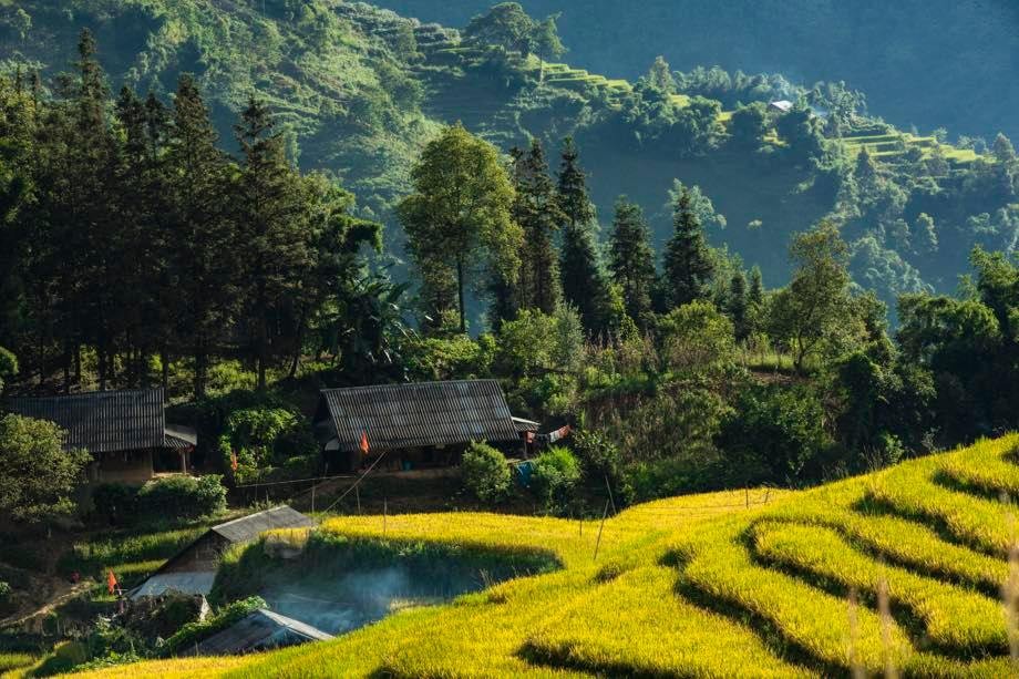 A Quiet Sapa in Ripening Rice Season A Quiet Sapa in Ripening Rice Season