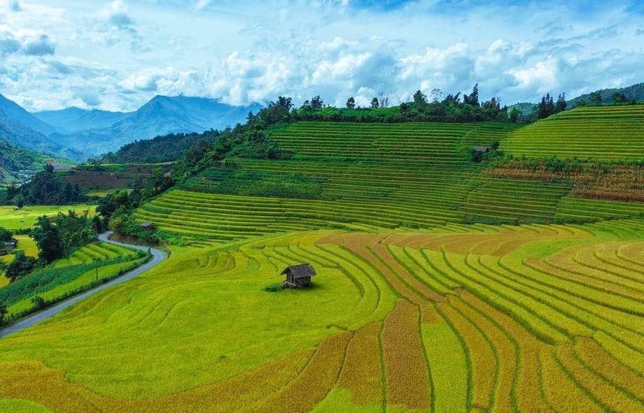 A Quiet Sapa in Ripening Rice Season A Quiet Sapa in Ripening Rice Season