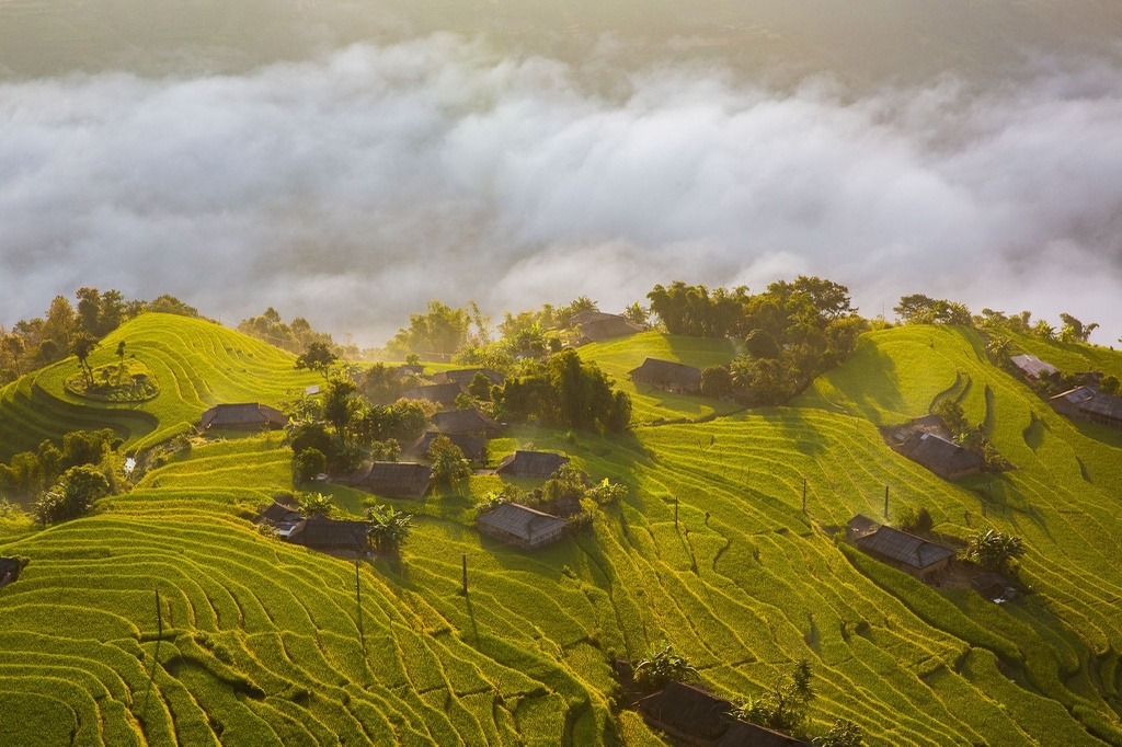 7 ideal choices for admiring ripening rice fields in northern Vietnam 7 ideal choices for admiring ripening rice fields in northern Vietnam
