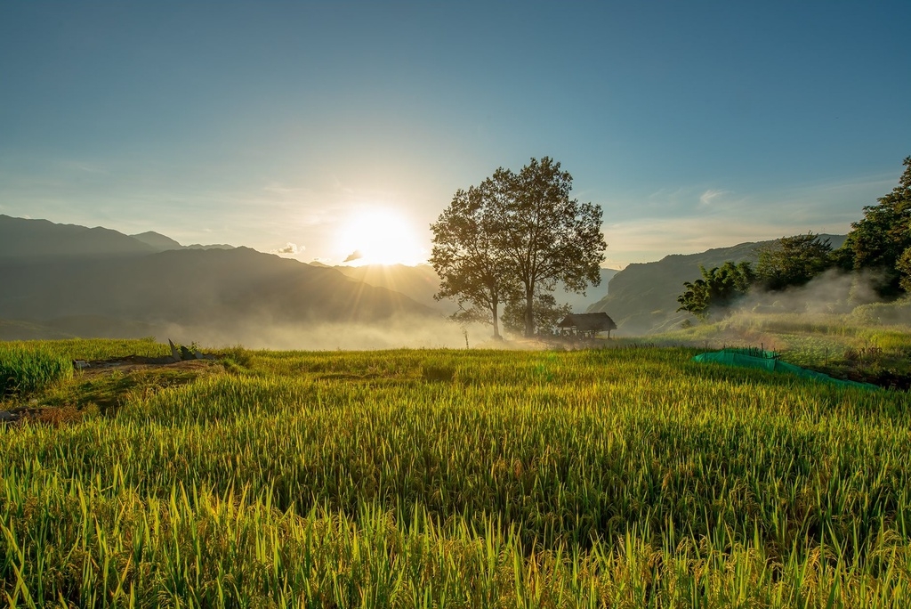 7 ideal choices for admiring ripening rice fields in northern Vietnam 7 ideal choices for admiring ripening rice fields in northern Vietnam