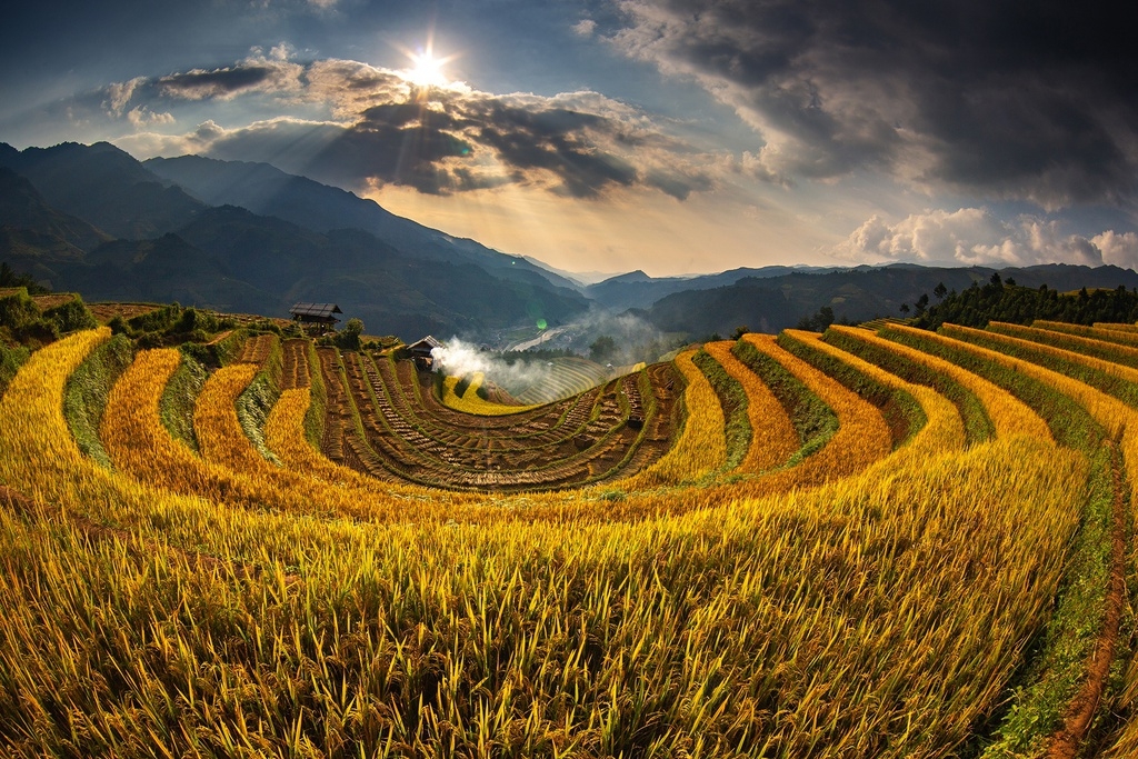 7 ideal choices for admiring ripening rice fields in northern Vietnam 7 ideal choices for admiring ripening rice fields in northern Vietnam