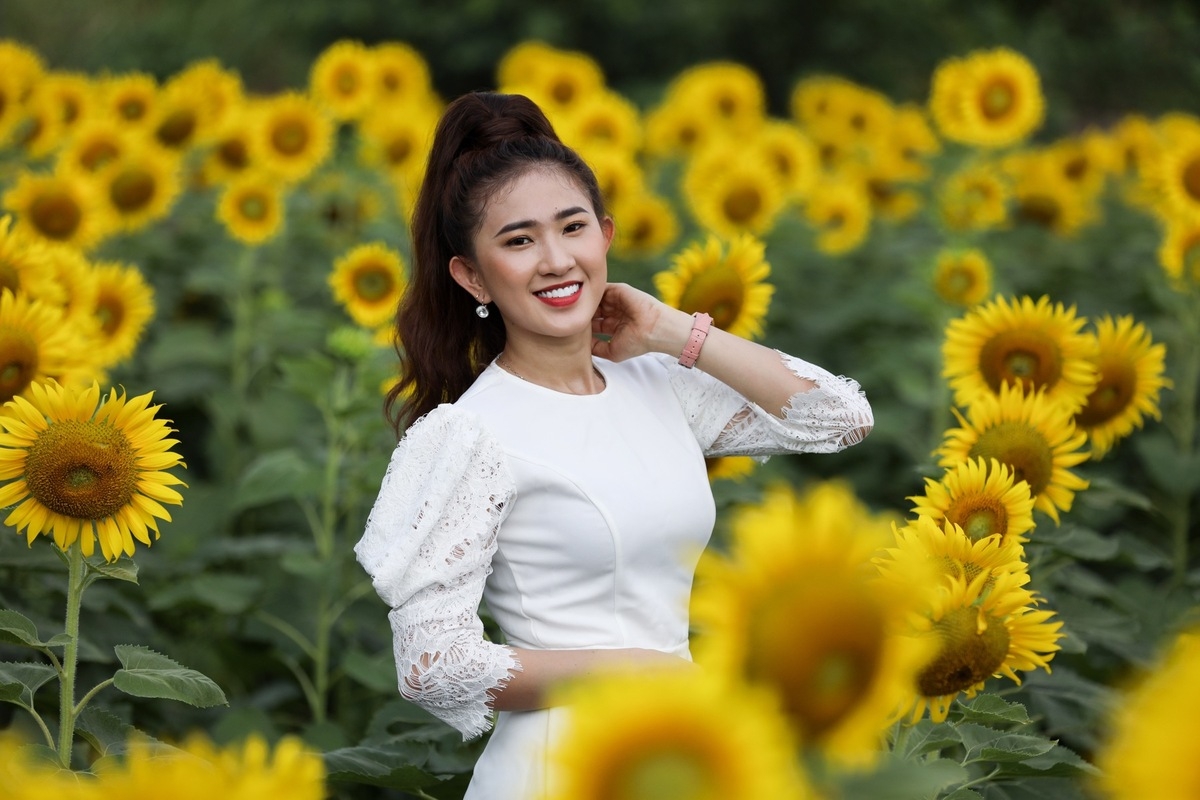 Stunning sunflower garden in the suburb of Ho Chi Minh city Stunning sunflower garden in the suburb of Ho Chi Minh city