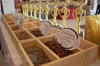 vietnam becomes japans leading coffee supplier