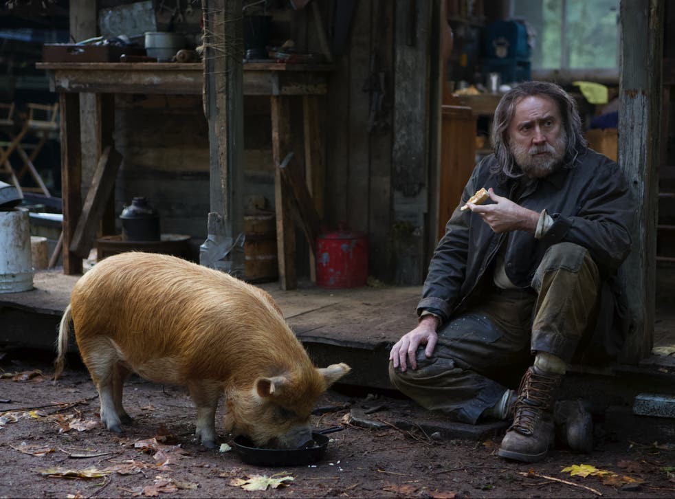 Top Must-see Films in 2021 for Bigne Watchers Top Must-see Films in 2021 for Bigne Watchers