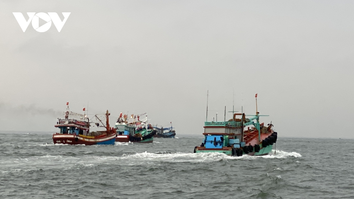 Impressive whale worshipping festival in Vung Tau city Impressive whale worshipping festival in Vung Tau city