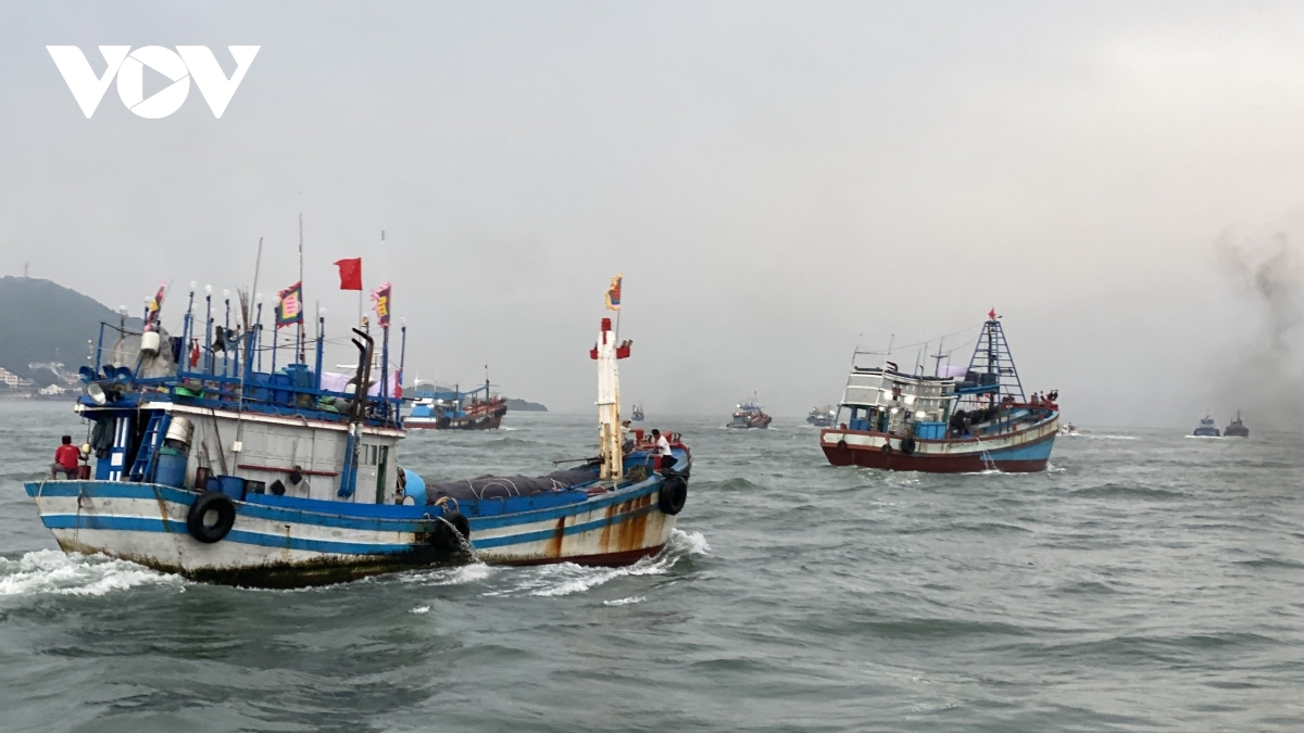Impressive whale worshipping festival in Vung Tau city Impressive whale worshipping festival in Vung Tau city