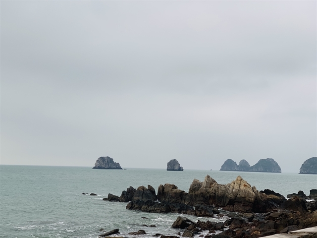 Ngoc Vung island, worth-discovering off-the-beaten-track pearl