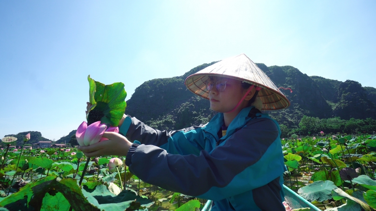 Lotus cuisine in Ninh Binh, a feast for visitors' soul Lotus cuisine in Ninh Binh, a feast for visitors' soul
