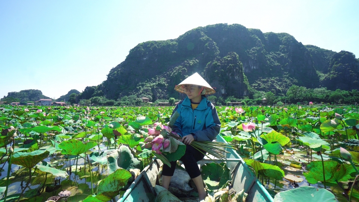 Lotus cuisine in Ninh Binh, a feast for visitors' soul Lotus cuisine in Ninh Binh, a feast for visitors' soul