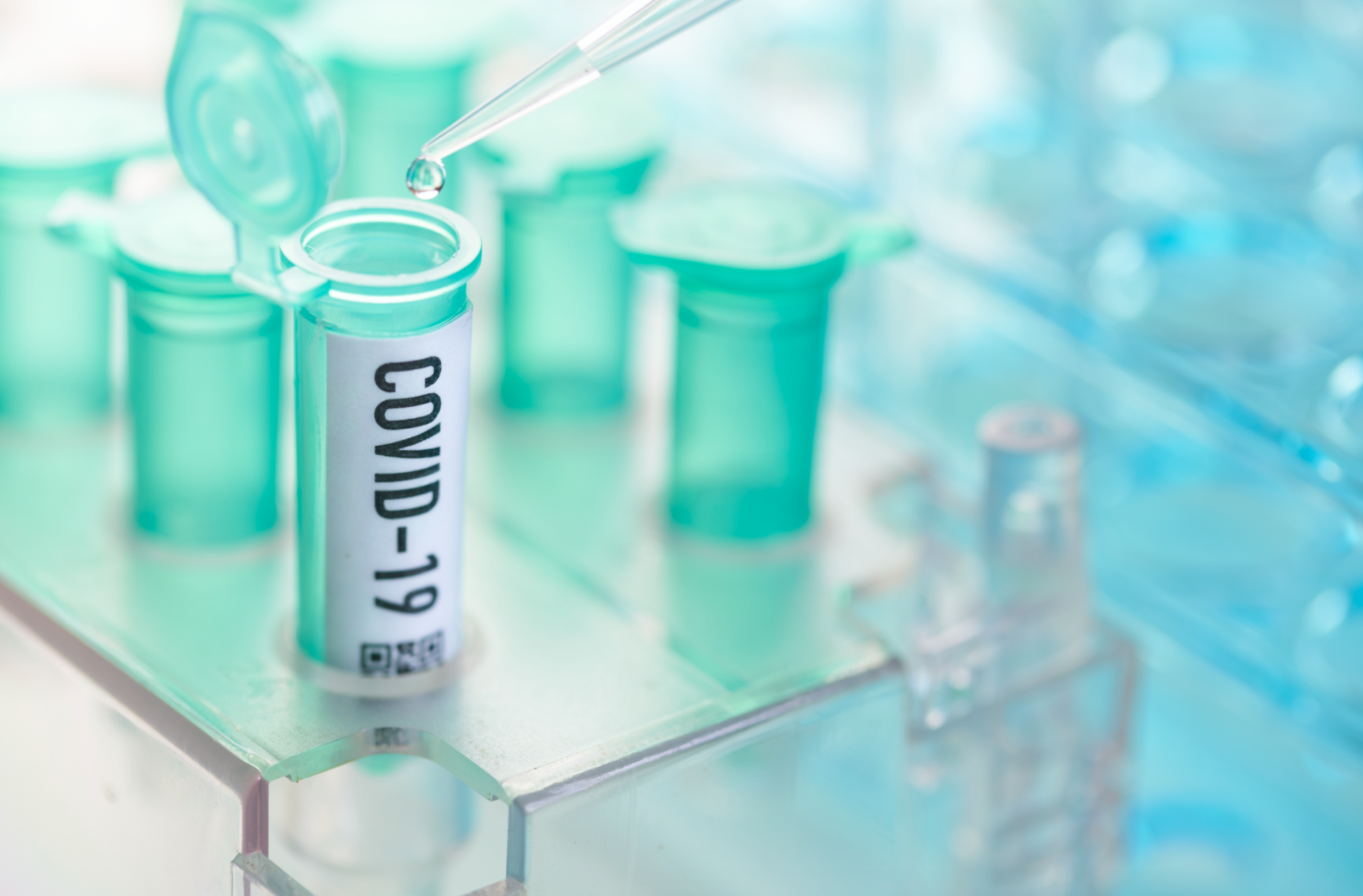 fda approves regeneron antibody cocktail for covid 19 treatment