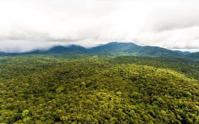 Dak Nong Geopark earns UNESCO’s global title Nam Nung Nature Reserve in Dak Nong Global Geopark.