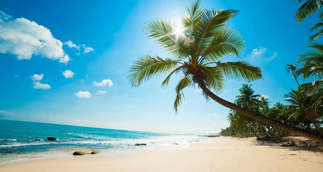 Phu Quoc to become Vietnam’s first island city Phu quoc is a popular tourist attraction in vietnam (photo: kite travel)