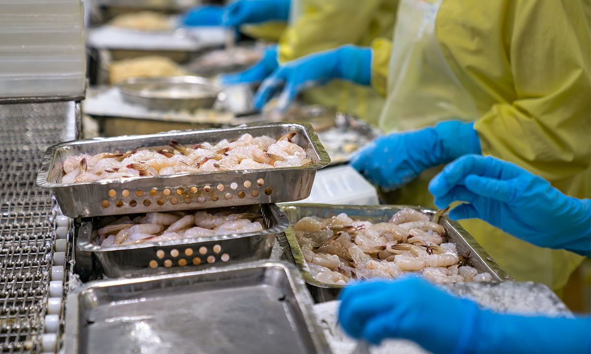 undefined Workers process shrimps at a factory in Ho Chi Minh City (Photo: Shutter Stock)