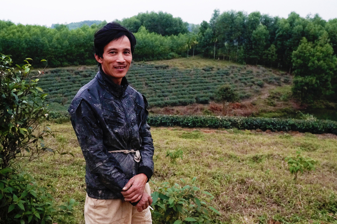 Ốc đảo chè có một không hai ở vùng biên giới Việt Nam oc dao che co mot khong hai o vung bien gioi viet nam