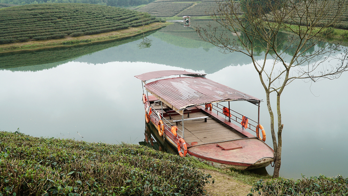 Ốc đảo chè có một không hai ở vùng biên giới Việt Nam oc dao che co mot khong hai o vung bien gioi viet nam